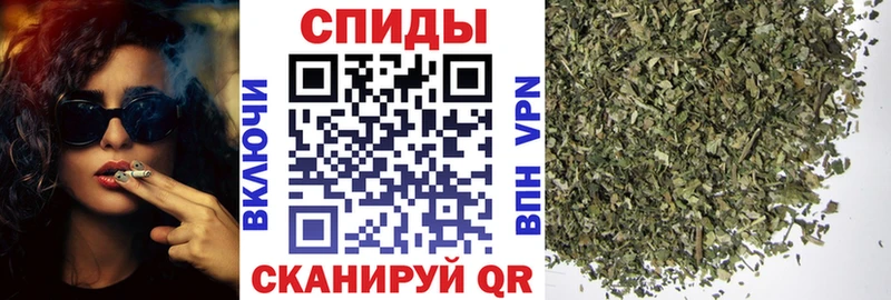 где найти наркотики  Дигора  Бутират 1.4BDO 