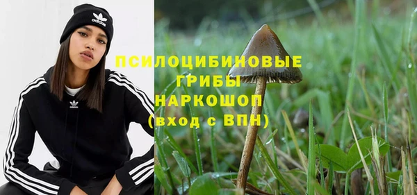каннабис Беломорск