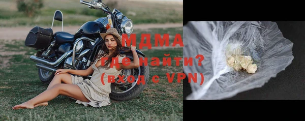 стаф Ростов