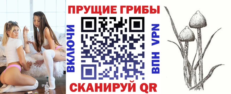 Галлюциногенные грибы Cubensis  Дигора 